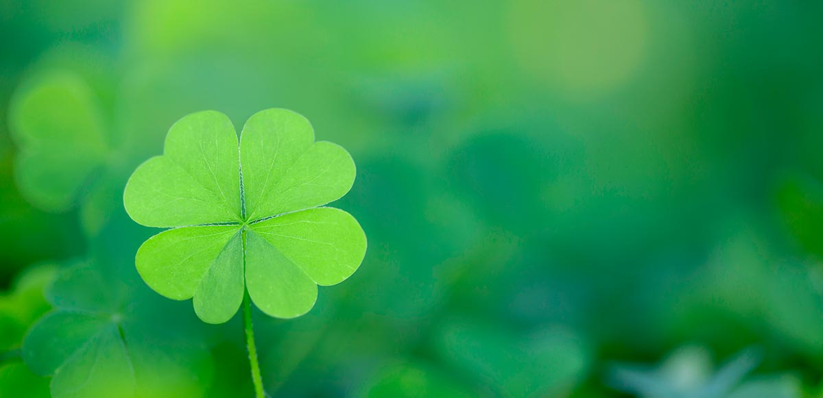 Lucky Habits of Americans